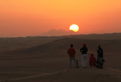 Desert Sunset